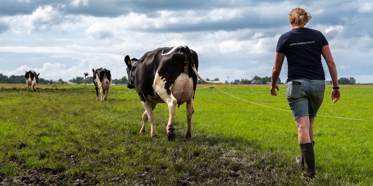 Platina_voor_Boerenboter_Boerderijzuivel