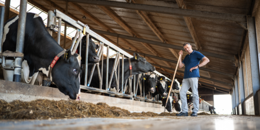Sjors_Overbeek_Onze_koeien_onze_melk_onze_kaas_Boerderijzuivel.png