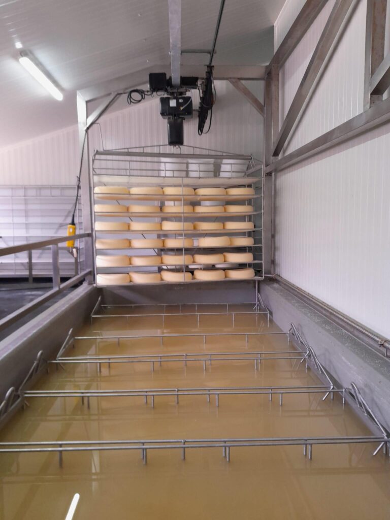 Zoute_kaas_zware_korst_Gea_van_der_Puijl_proces_BoerenZuivel