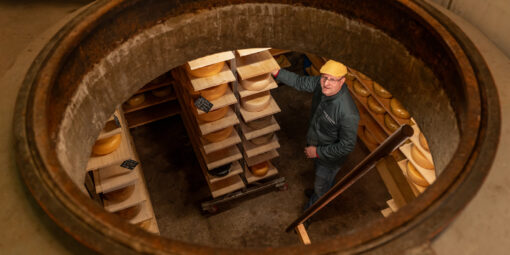 Land_van_Boer_Zuivel_Vlielander_Kaasbunker_hoogste_duin_Vlielander_rijpt_prijswinnend_geheim_BoerenZuivel