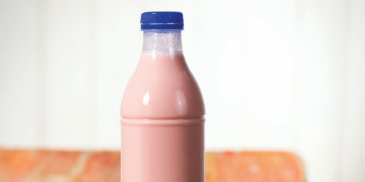 Kracht_van_culturen_goede_bacteriën_heerlijke_yoghurt_BoerenZuivel