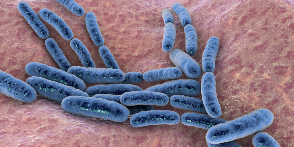 Kracht_van_culturen_goede_bacteriën_heerlijke_yoghurt_bacterie_BoerenZuivel