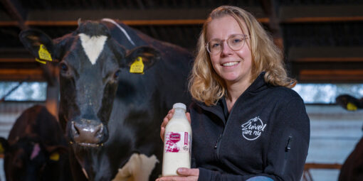 Paradekaasje_rijstepap_zoals_oma_maakte_BoerenZuivel