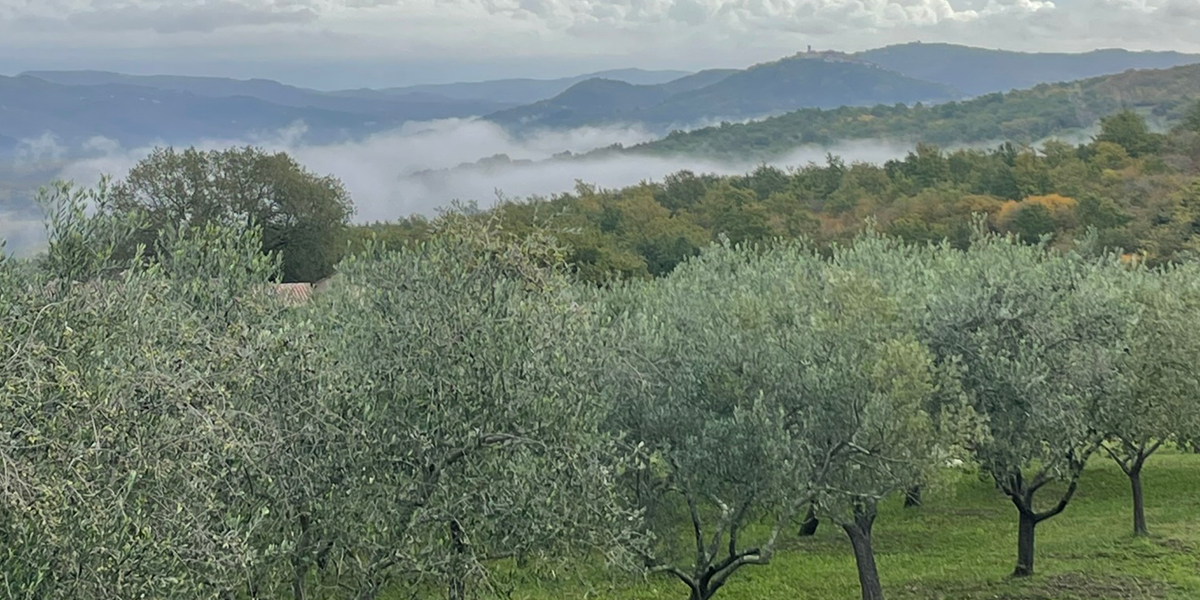 Taal_van_kaas_BoerenZuivel