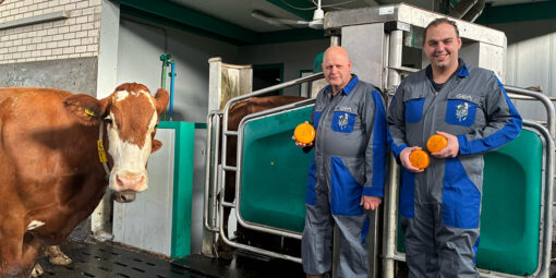 Traditie_automatisering_babykaas_BoerenZuivel