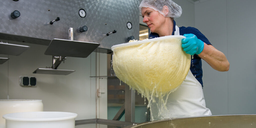 Land_Boer_Zuivel_Zunakaas_vernieuwen_Dide_kaas_maken_BoerenZuivel