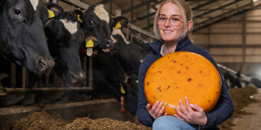 Paradekaasje_Fries_streekproduct_BoerenZuivel